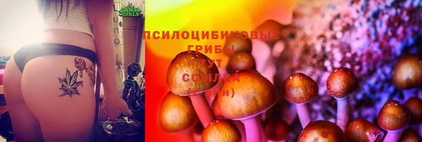 PSILOCYBIN Арсеньев