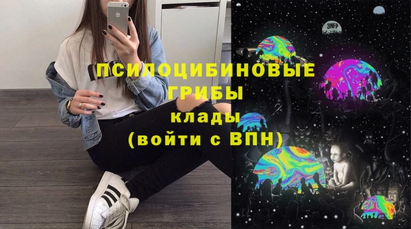 амф Аркадак