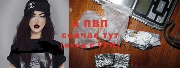 PSILOCYBIN Арсеньев